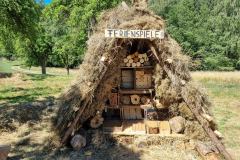 20220806_140718-scaled