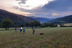 20230805_060918-Kopie