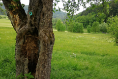 Bild1