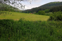 Bild5