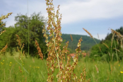 Bild6