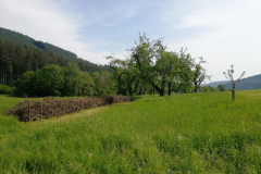Bild8
