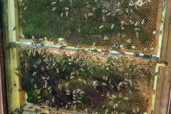 20250501_152130